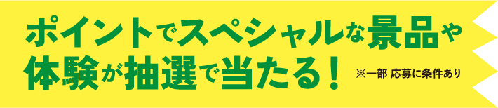 ポイントでスペシャルな景品や体験が抽選で当たる!