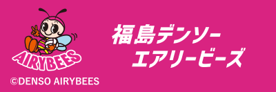 福島デンソーエアリービーズ