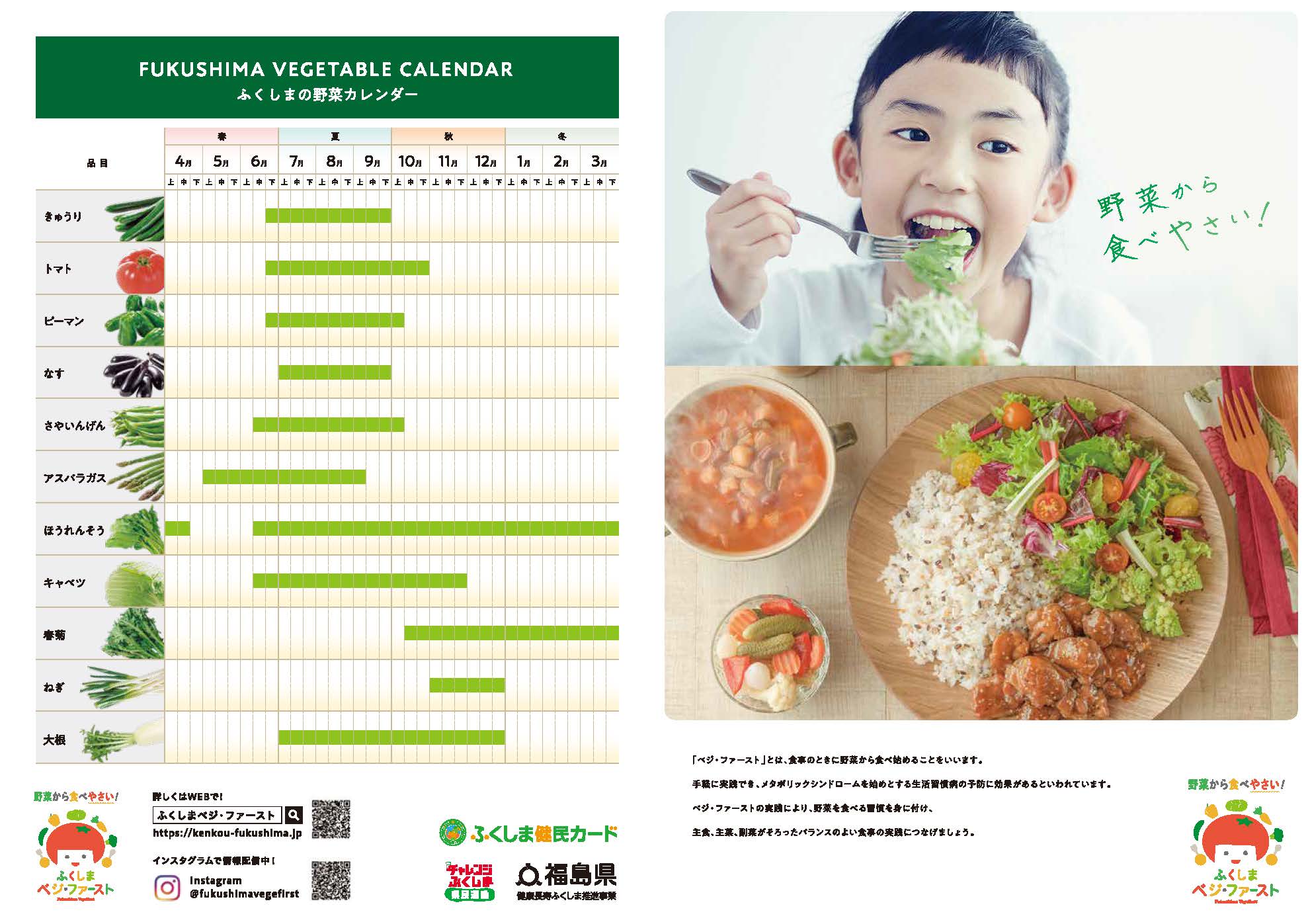 パンフレット（コミックなし）