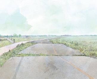 津波などによる舗装の損壊