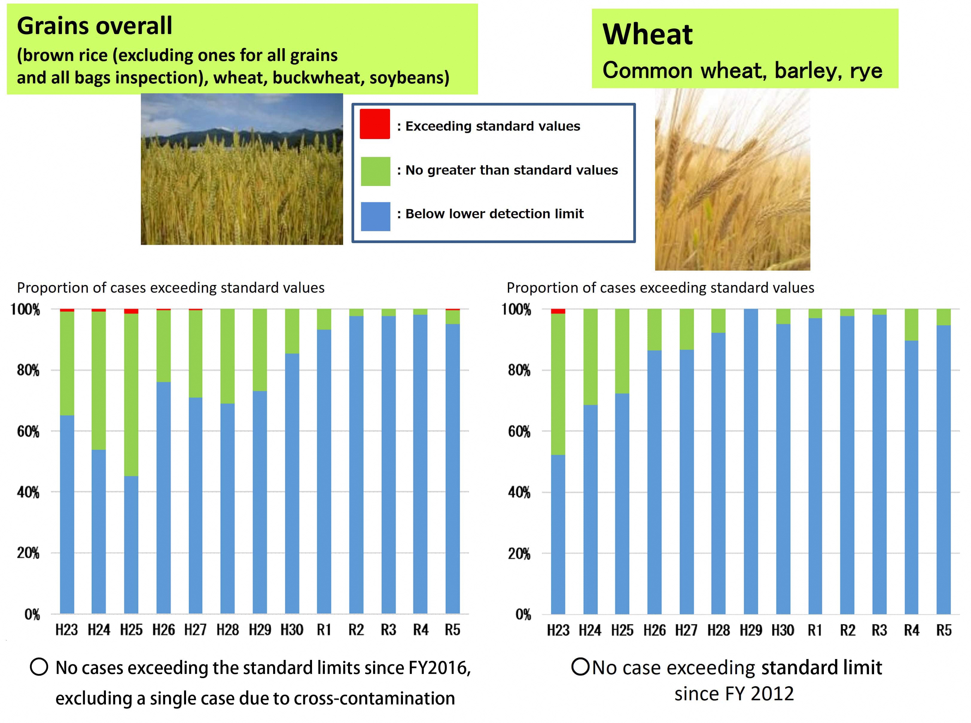 Grains1