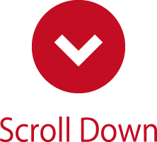 Scroll Down