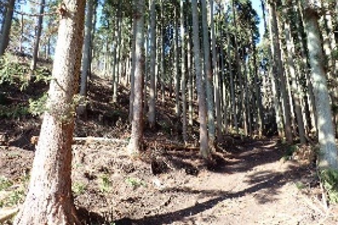 公益社団法人福島県森林・林業・緑化協会