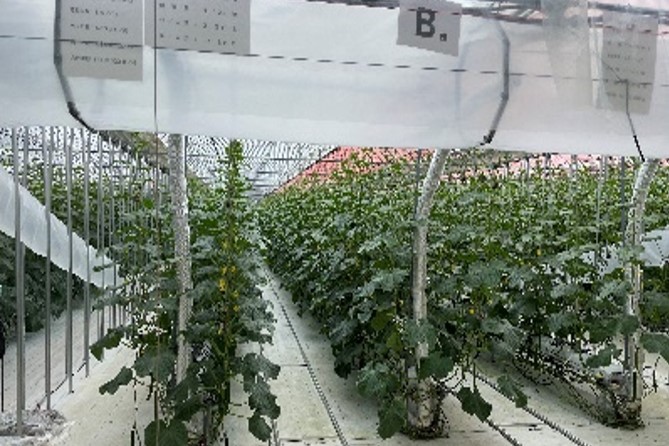 株式会社福島タネセンター