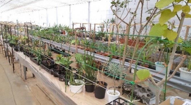 株式会社諸井緑樹園