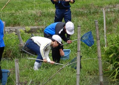 生き物①