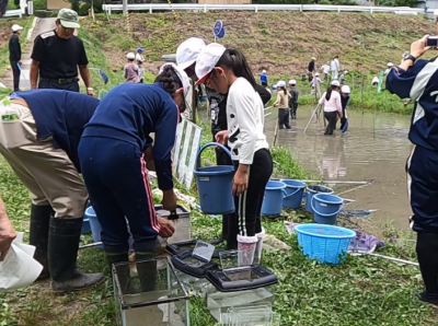 生き物調査③