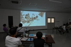 県中微生物観察