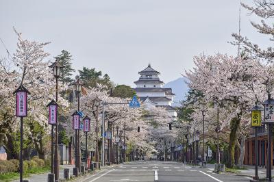 会津(鶴ヶ城)