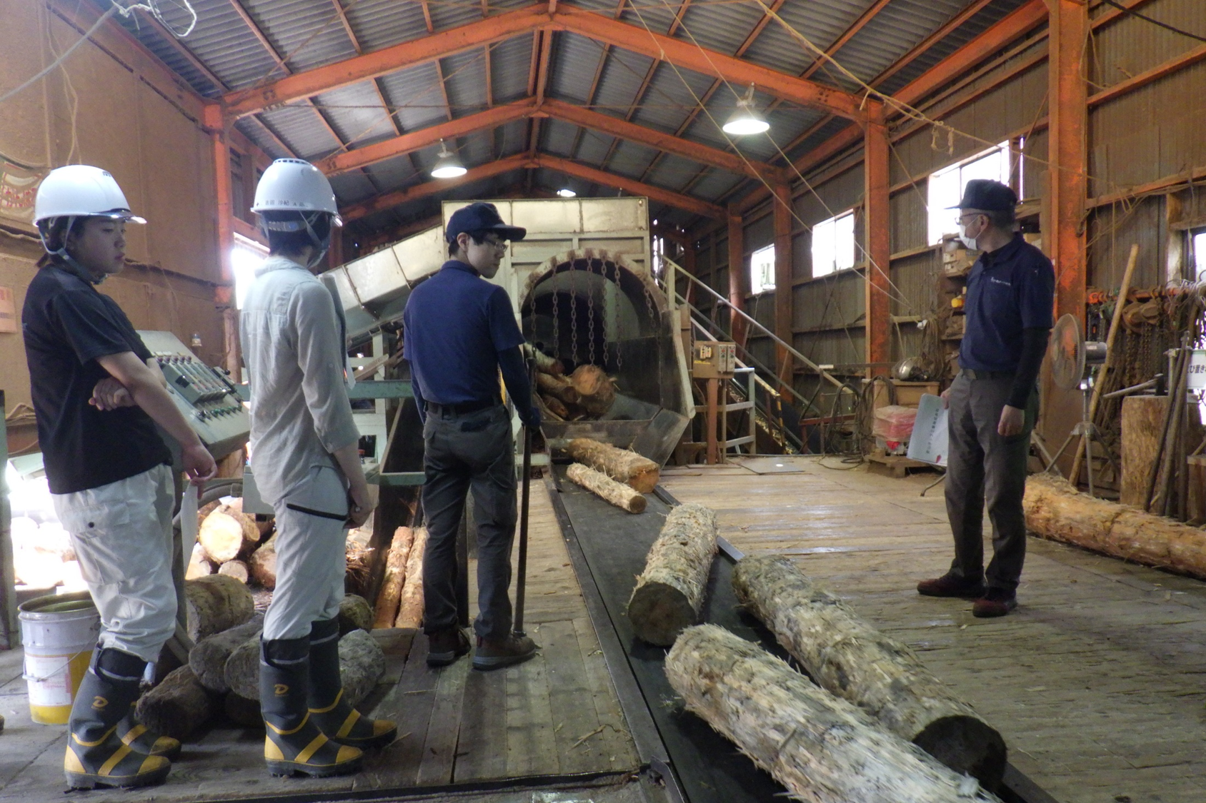 木質バイオマス