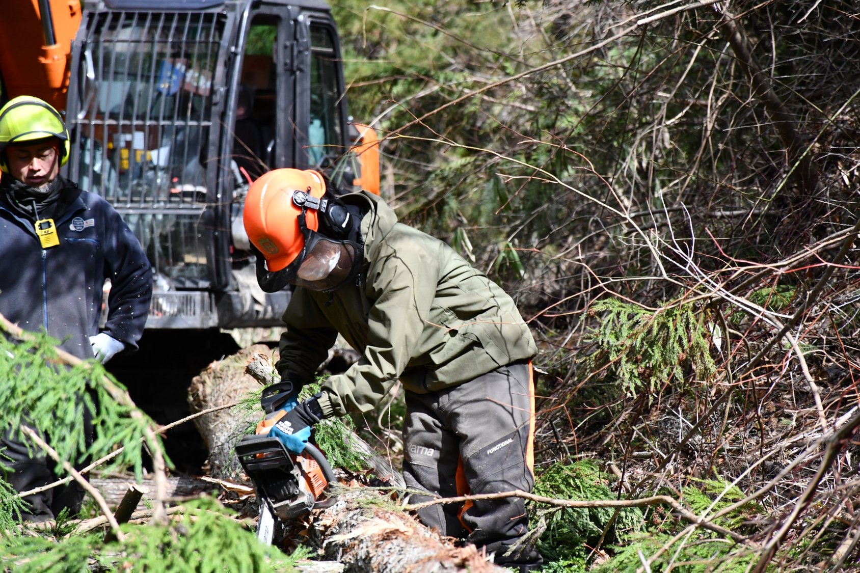 チェーンソー伐木造材技術