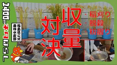 バケツ稲グランプリのサムネイル