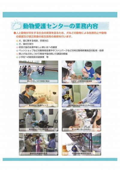 令和7年度獣医師募集パンフレット-5