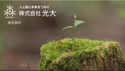 サムネイル（光大）