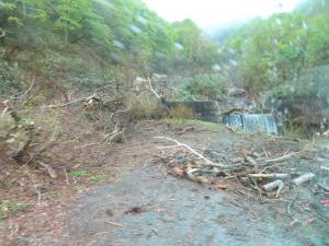 令和7年2月の雪崩被害発生箇所の視察を行う土木委員会