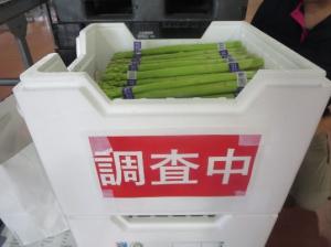 ｱｽﾊﾟﾗｶﾞｽ輸送調査