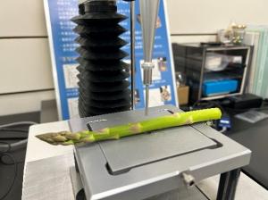 ｱｽﾊﾟﾗｶﾞｽ物性測定