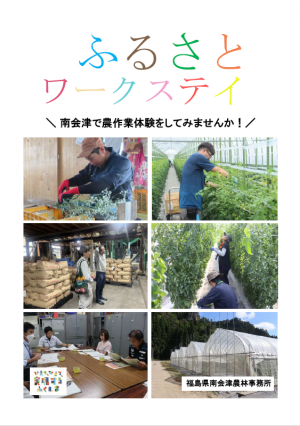 ふるさとワークステイ