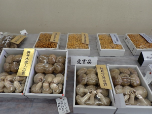 きのこまつり１