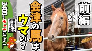 会津は馬刺しがおいしんだよ。知ってた？（前編）