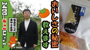 おやつやおつまみにおすすめ！