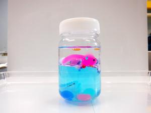 オーシャンボトル