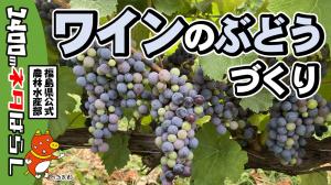 会津のワイナリーを訪ねて【前編】