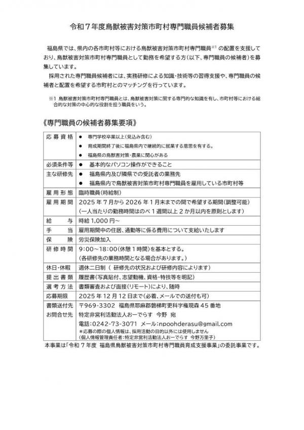 チラシ（裏面）