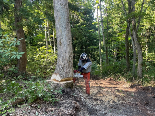 山田聡一朗さん　写真３