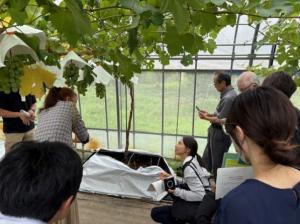 現地視察の様子