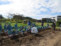 みどり幼稚園１