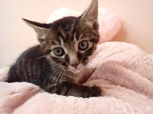 遊ぶのが大好き