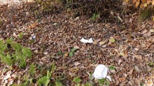 南会津町_ごみ散乱