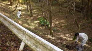 南会津町_作業の様子