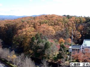 キャンパスの様子