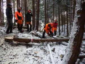 伐木造材実習