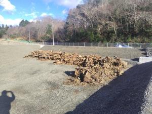 ストックヤードの様子２