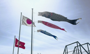 県庁本庁舎屋上でのこいのぼり掲揚