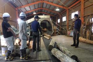 木質バイオマス