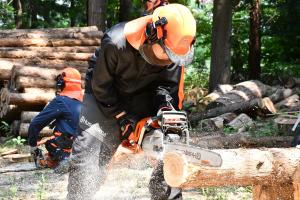 チェーンソー伐木造材技術