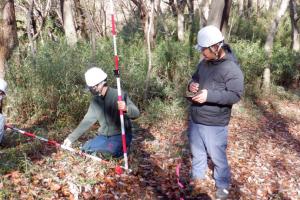 縦断・横断測量