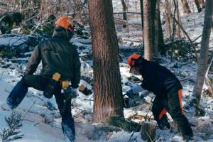 インターンシップ