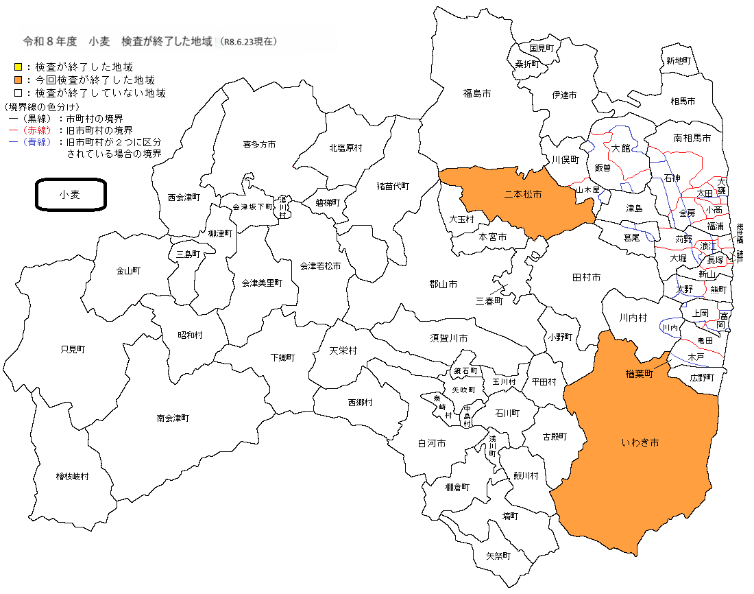 小麦