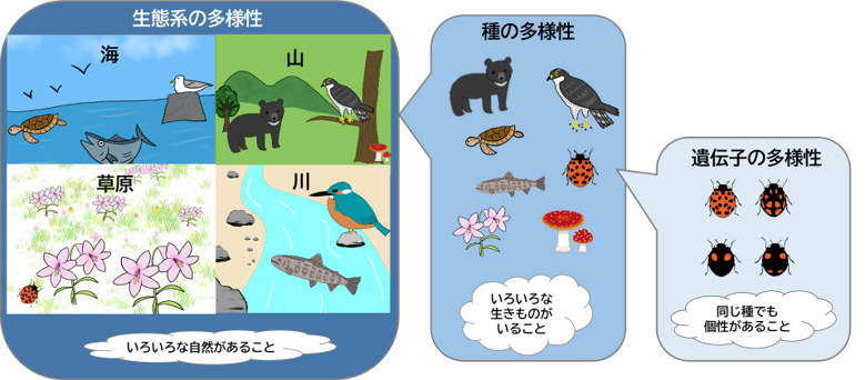 生物多様性とは？