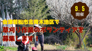 会津若松市草刈り