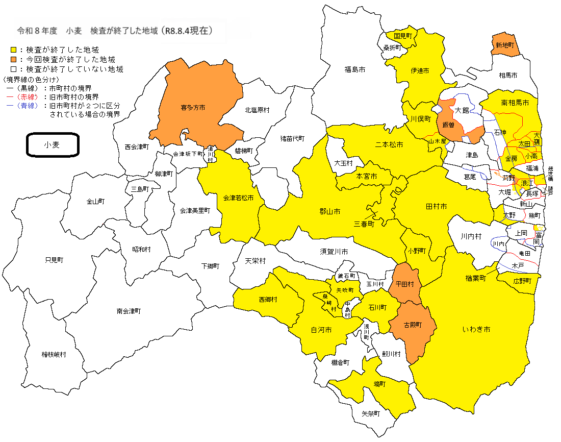 小麦