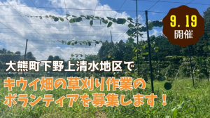 大熊町キウイ