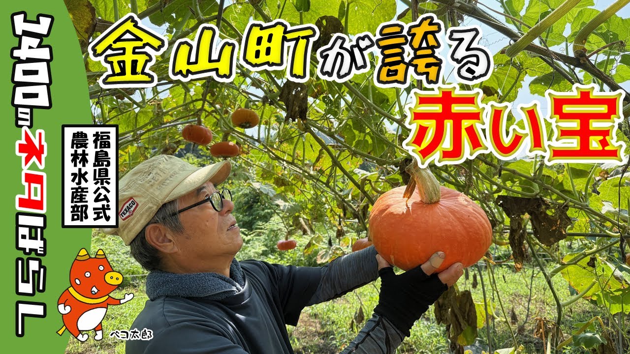 激レア！奥会津金山赤カボチャ®