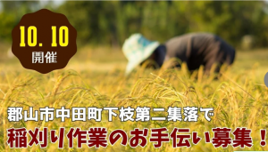 郡山市中田町稲刈り