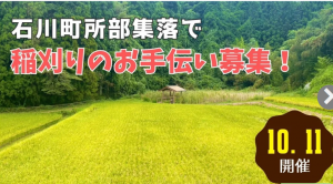 石川町所部稲刈り